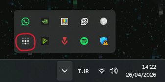 Sistem tepsisi Tailscale ikonu